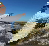 Private Walangari's Aboriginal Walking Tour in Bondi Beach - Cruises Travel