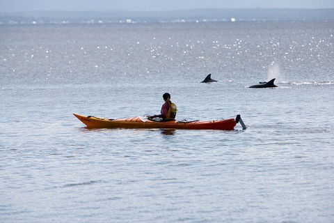 Half-Day Jervis Bay Sea Kayak Tour - Tourism Guide 4