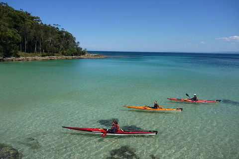 Half-Day Jervis Bay Sea Kayak Tour - Tourism Guide 3