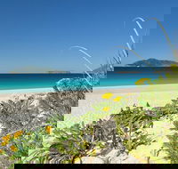 Tea Gardens and Hawks Nest Beach Bus Guided Tour - Cruises Travel