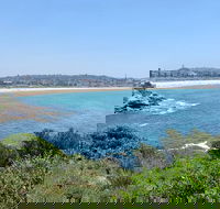 Sydney City Harbour and Bondi All Inclusive Private Bus Tour included Transfer - Cruises Travel