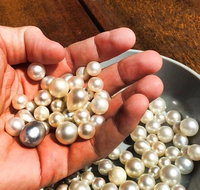 Australian Pearl Experience  Kangaroo Encounter Day Trip from Sydney - Tourism Guide