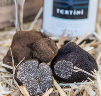 Truffle Hunts with Lunch - Southern Highlands - Tourism Guide