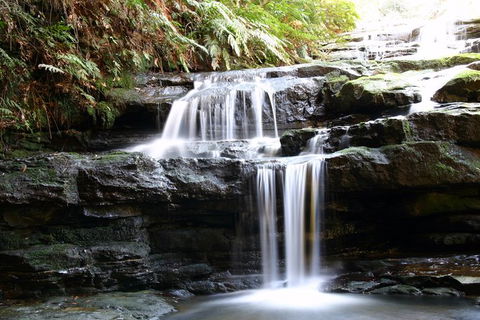 Private 10-hour Tour To Blue Mountains From Sydney - Hotel Pick Up & Drop Off - Tourism Guide 6