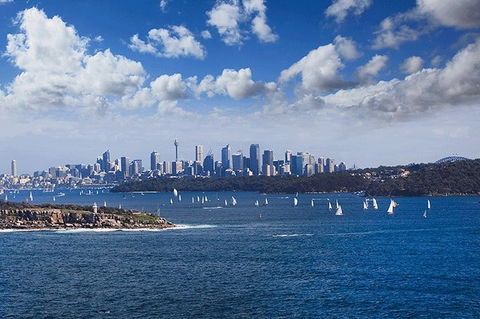 Sydney With Bondi And Beaches Essentials Private Day Tour - Tourism Guide 7