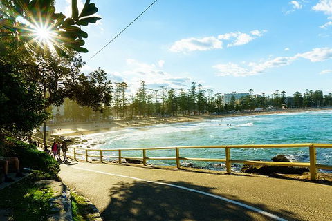 Sydney With Bondi And Beaches Essentials Private Day Tour - Tourism Guide 8