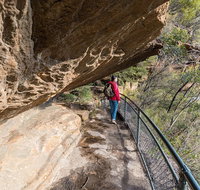 Blue Mountains Highlights  Wildlife Park - Tourism Guide