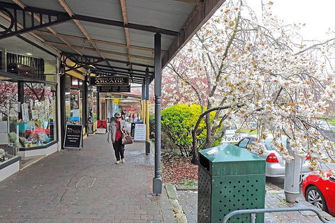 Blue Mountains Highlights, Wildlife Park And Scenic World Full Day Private Tour - Tourism Guide 2