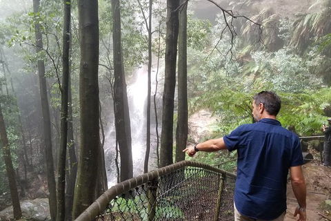 Blue Mountains Highlights, Wildlife Park And Scenic World Full Day Private Tour - Tourism Guide 6