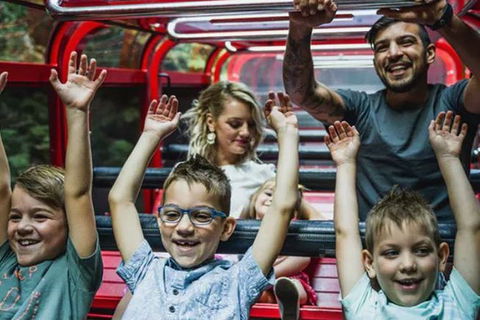 Blue Mountains Highlights, Wildlife Park And Scenic World Full Day Private Tour - Tourism Guide 5