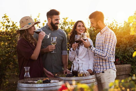 Hunter Valley Highlights Private Wine Tour From Sydney - Tourism Guide 0