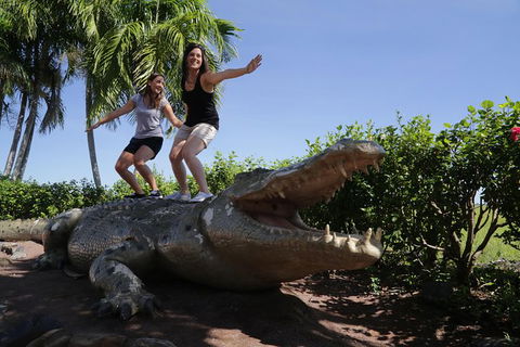 Jumping Crocs & Nature Adventure Cruise From Darwin - Tourism Guide 5