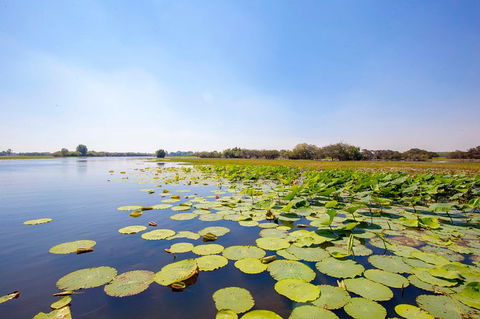 Jumping Crocs & Nature Adventure Cruise From Darwin - Tourism Guide 8