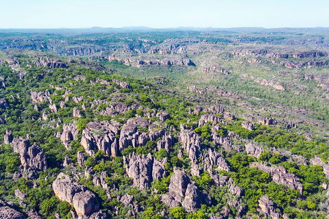 Jabiru 30 Minute Scenic Flight - Tourism Guide 1
