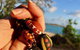 Gay-Wu Woman\'s 5 Day Yolngu Homeland Tour - thumb 1