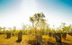 Litchfield National Park Waterfalls Day Trip From Darwin Including Termite Mounds And Lunch - thumb 1