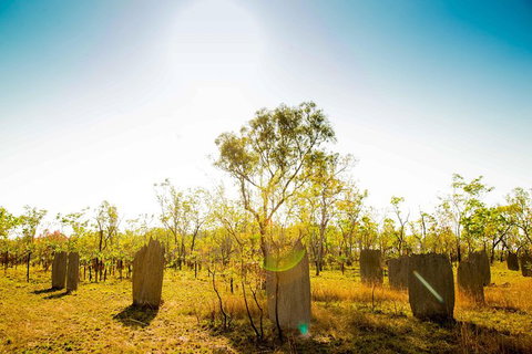 Litchfield National Park Waterfalls Day Trip From Darwin Including Termite Mounds And Lunch - Tourism Guide 1