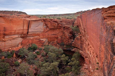 Uluru, Kata Tjuta And Kings Canyon Camping Safari From Alice Springs - Travel Agents 4
