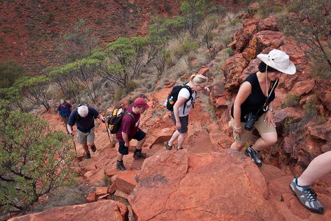 Uluru, Kata Tjuta And Kings Canyon Camping Safari From Alice Springs - Travel Agents 3
