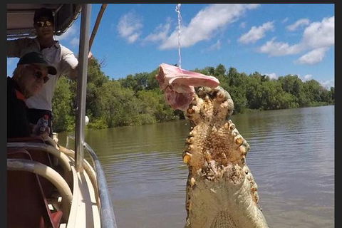 Pathfinder Jumping Crocodile Cruise Shuttle Bus - Tourism Guide 7