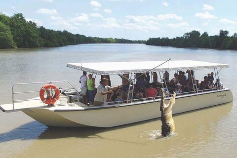 Pathfinder Jumping Crocodile Cruise Shuttle Bus - Tourism Guide 1