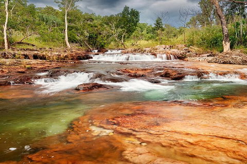 Full-Day Private Guided Tour To Litchfield National Park - Tourism Guide 14