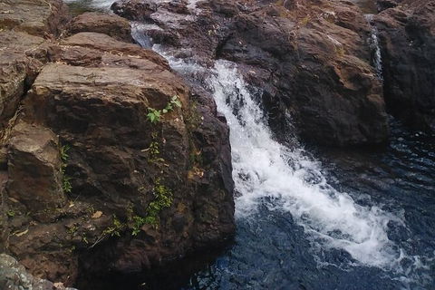 Full-Day Private Guided Tour To Litchfield National Park - Tourism Guide 8