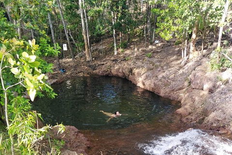 Full-Day Private Guided Tour To Litchfield National Park - Tourism Guide 18
