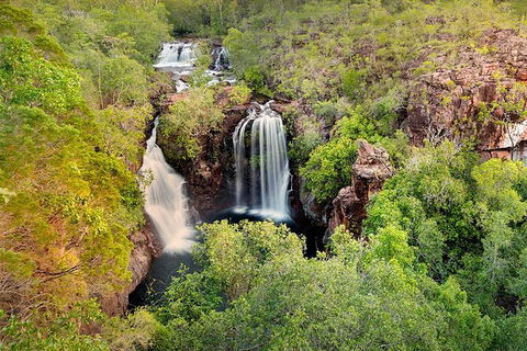 Full-Day Private Guided Tour To Litchfield National Park - Tourism Guide 0
