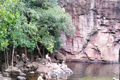 Full-Day Private Guided Tour To Litchfield National Park - Tourism Guide 16