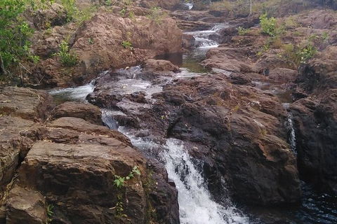Full-Day Private Guided Tour To Litchfield National Park - Tourism Guide 15