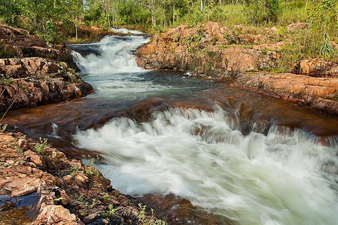 Full-Day Private Guided Tour To Litchfield National Park - Tourism Guide 3