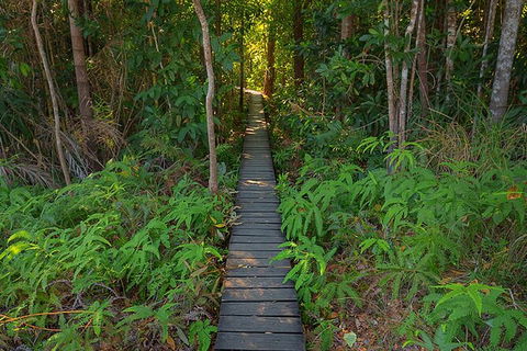 Full-Day Private Guided Tour To Litchfield National Park - Tourism Guide 7