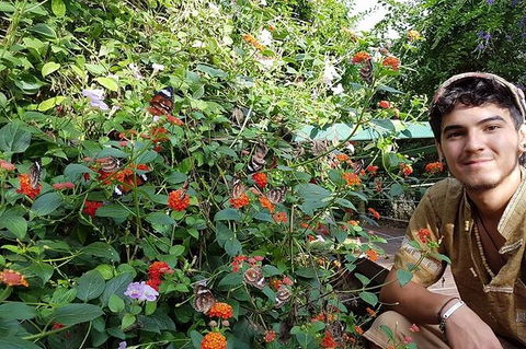 Full-Day Private Guided Tour To Litchfield National Park - Tourism Guide 17