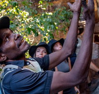 Arnhem Land Injalak Hill Full-Day Tour from Darwin - Tourism Guide