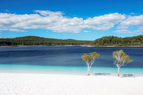 All-Inclusive Fraser Island Day Tour - Tourism Guide 2