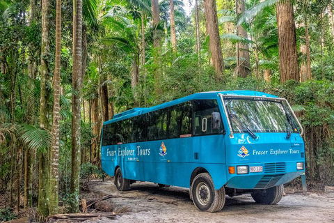 All-Inclusive Fraser Island Day Tour - Tourism Guide 0