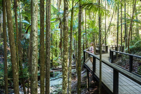 All-Inclusive Fraser Island Day Tour - Tourism Guide 7