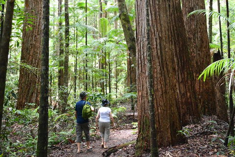 All-Inclusive Fraser Island Day Tour - Tourism Guide 6
