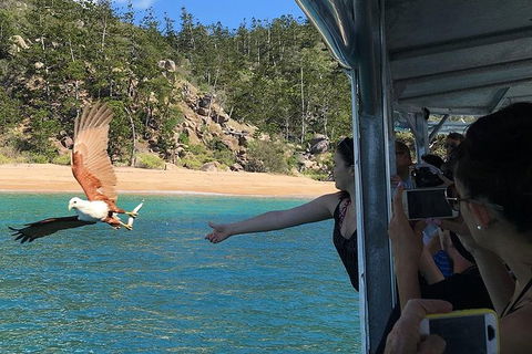 Aquascene Magnetic Island Discovery Tour - Tourism Guide 2