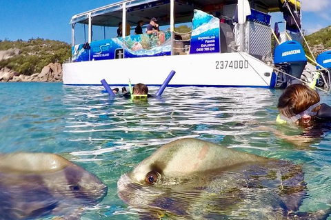 Aquascene Magnetic Island Discovery Tour - Tourism Guide 4