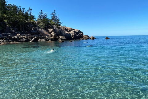 Aquascene Magnetic Island Discovery Tour - Tourism Guide 9