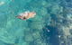 Aquascene Magnetic Island Discovery Tour - thumb 6