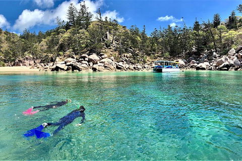 Aquascene Magnetic Island Discovery Tour - Tourism Guide 8