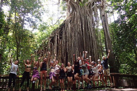 Atherton Tablelands Waterfalls Tour From Cairns - Tourism Guide 8