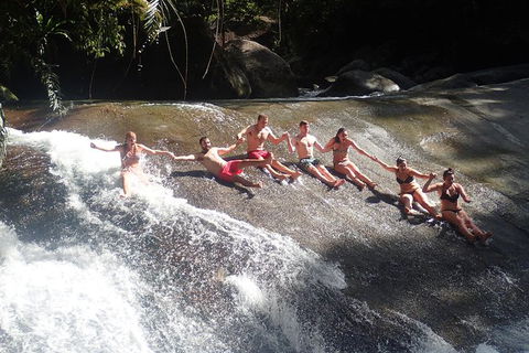 Atherton Tablelands Waterfalls Tour From Cairns - Tourism Guide 4