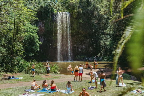Atherton Tablelands Waterfalls And Rainforest Day Tour Departing Cairns - Tourism Guide 4