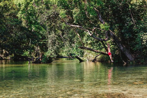 Atherton Tablelands Waterfalls And Rainforest Day Tour Departing Cairns - Tourism Guide 3