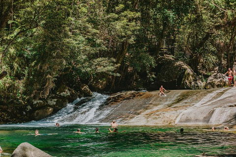 Atherton Tablelands Waterfalls And Rainforest Day Tour Departing Cairns - Tourism Guide 8