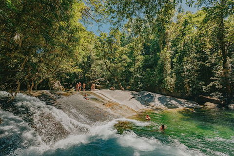 Atherton Tablelands Waterfalls And Rainforest Day Tour Departing Cairns - Tourism Guide 0